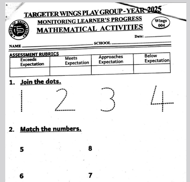 Targeter Wings 004 Playgroup 2025  & Marking scheme Preview